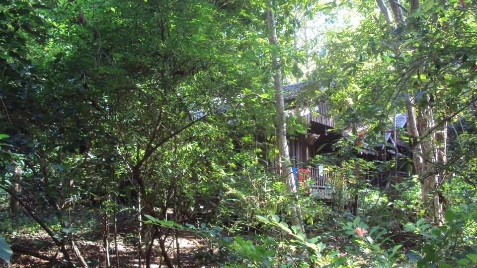 Jungle Eco Lodge